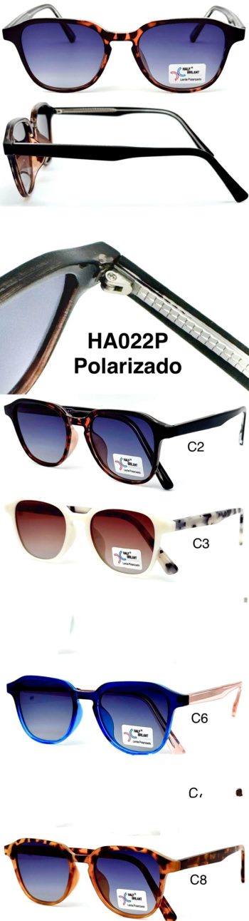 LOTE3 34 (11)